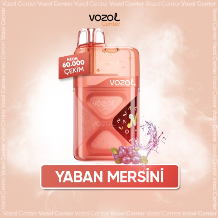 Vozol Neon 60000 Blueberry Energy