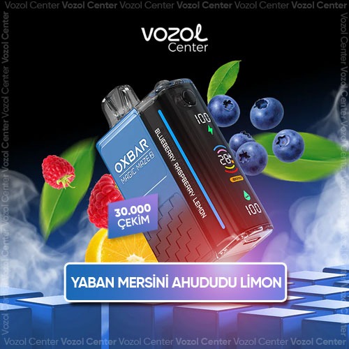 Oxbar Magic Maze 2 30000 Blueberry Raspberry Lemon
