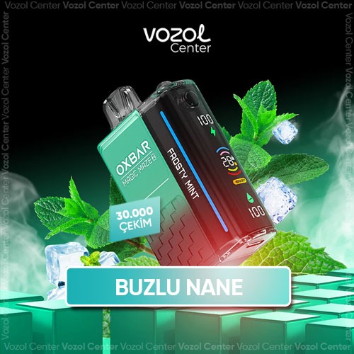 Oxbar Magic Maze 2 30000 Puff Frosty Mint
