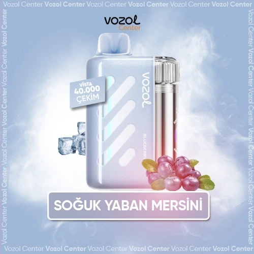 Vozol Vista 40000 Blueberry Ice