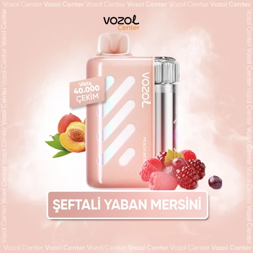 Vozol Vista 40000 Peach Berry